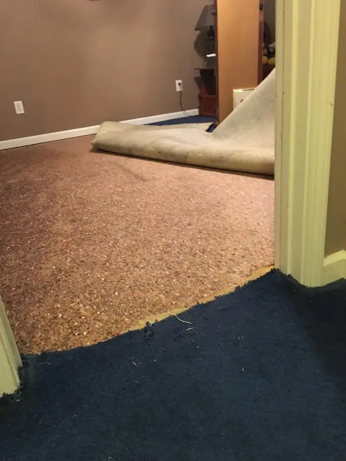 Carpet pad removal revealing water damage during Water Mitigation Services in Dalton